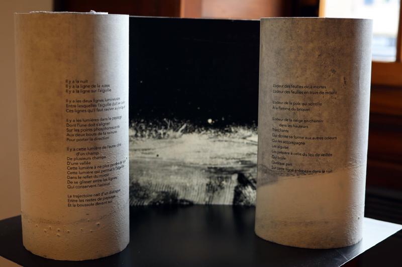 Photographie 7